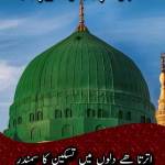 Ali Raza Profile Picture